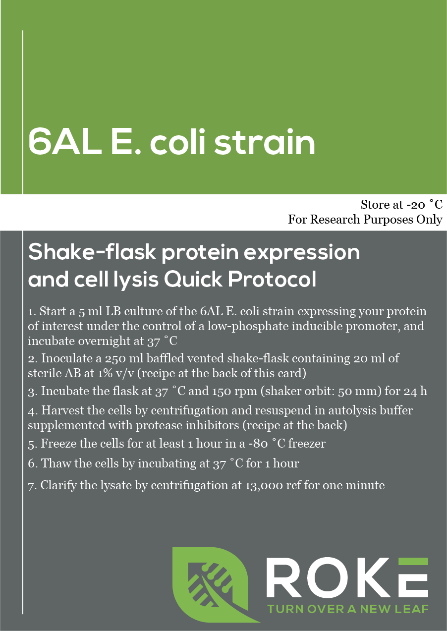 E. coli  