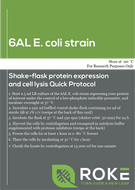 E. coli  
