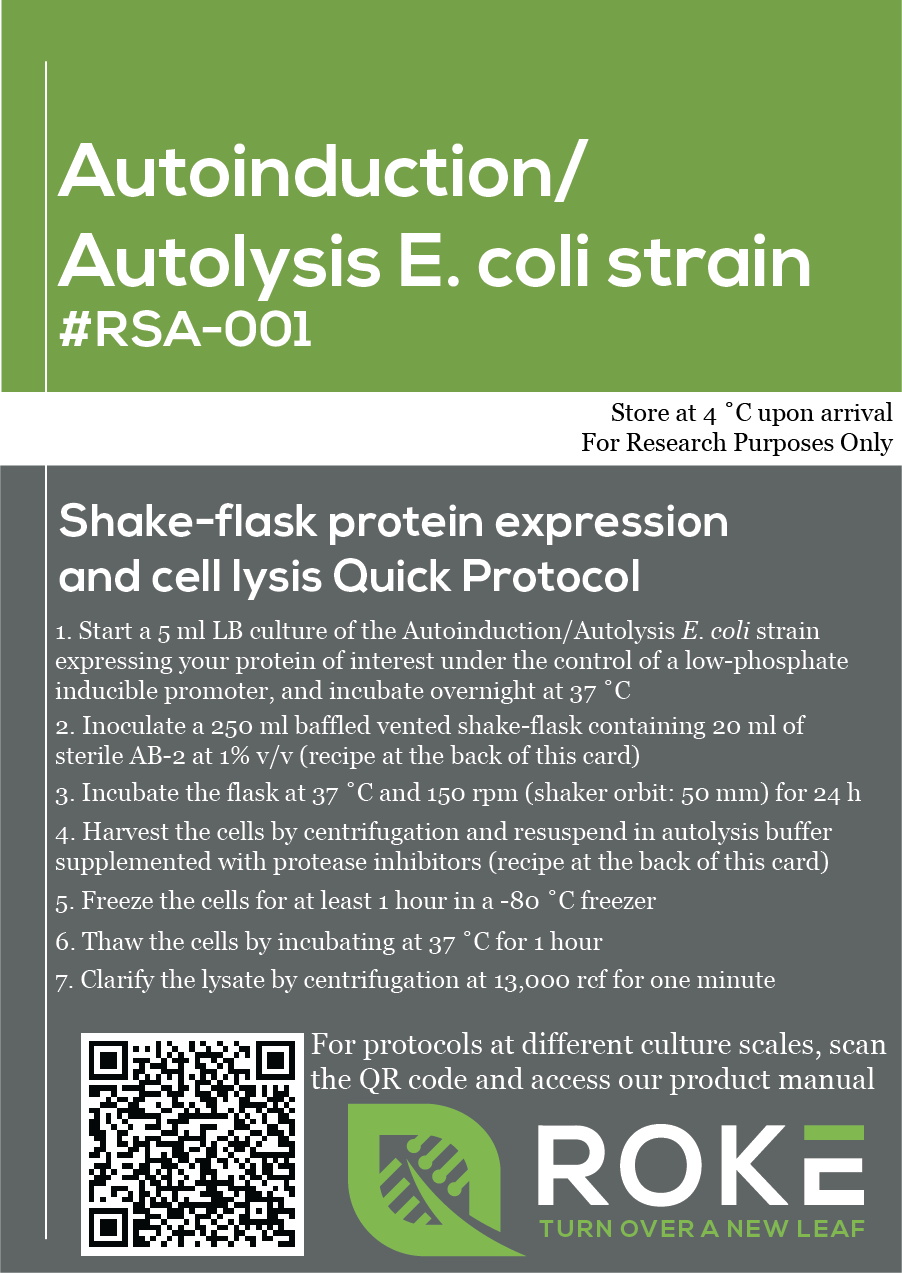 E. coli  AutoInduction/AutoLysis for Protein Expression - Roke Biotechnologies
